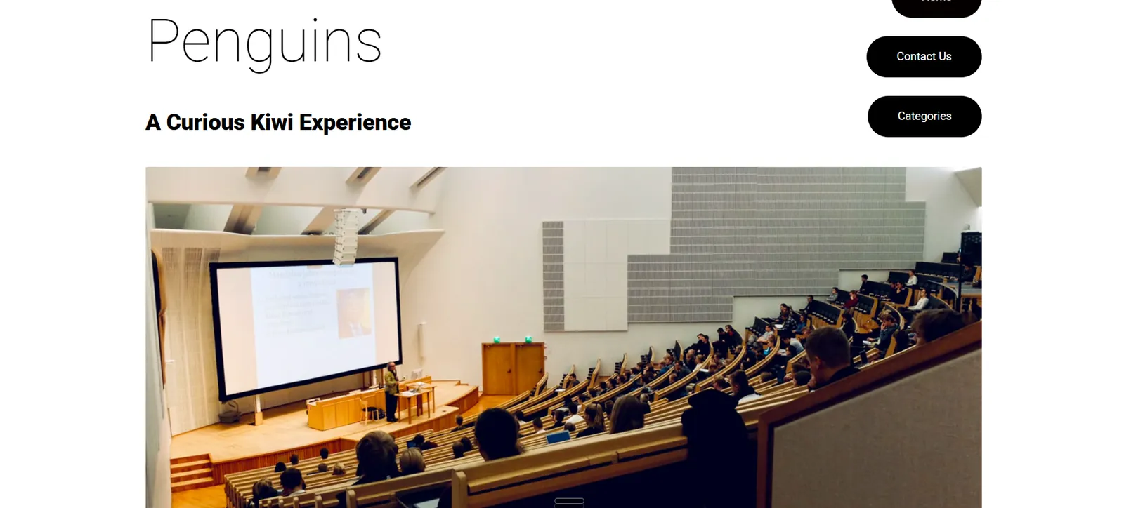 Pop Up Penguins New Zealand experience website article page