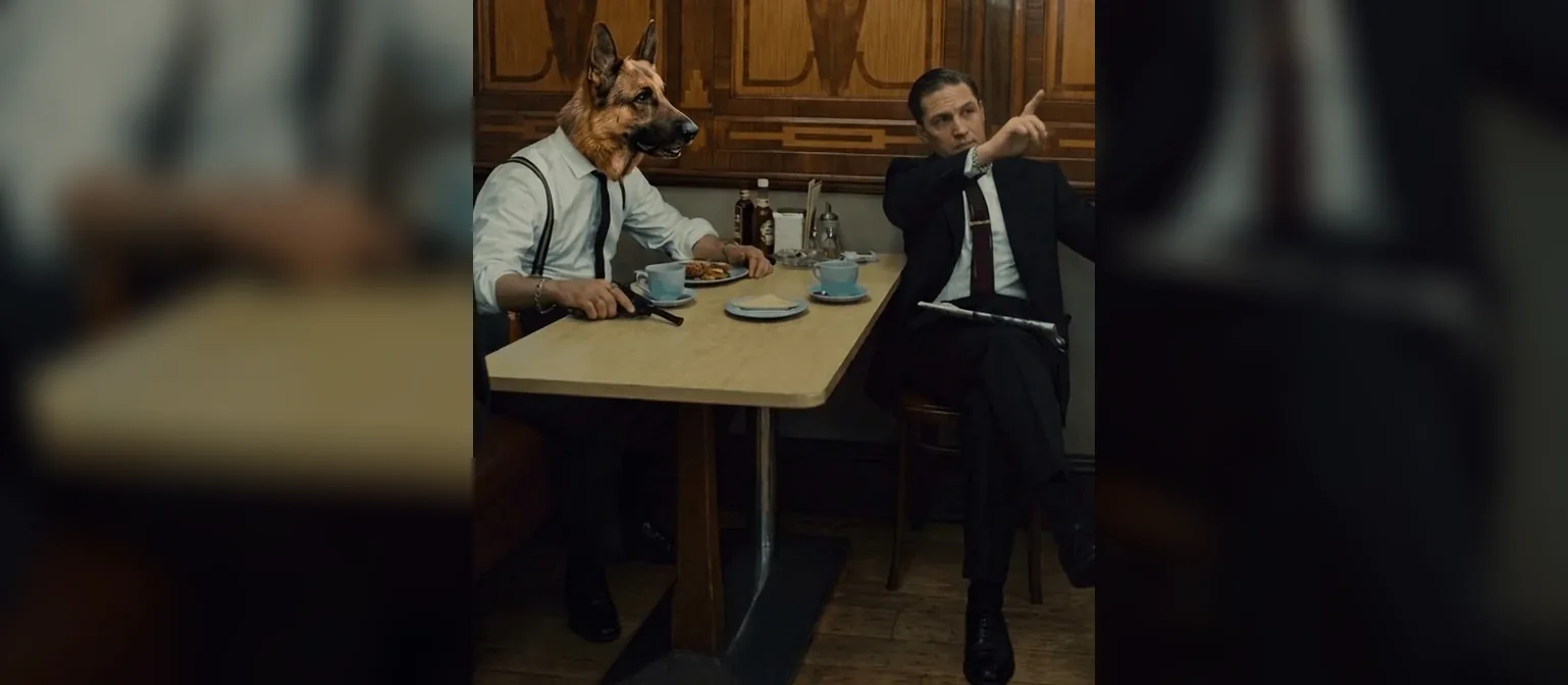 Dog listening while a man explains the difference between web design and web development